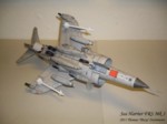 Sea Harrier Mk 1 (13).JPG

67,24 KB 
1024 x 768 
22.11.2011
